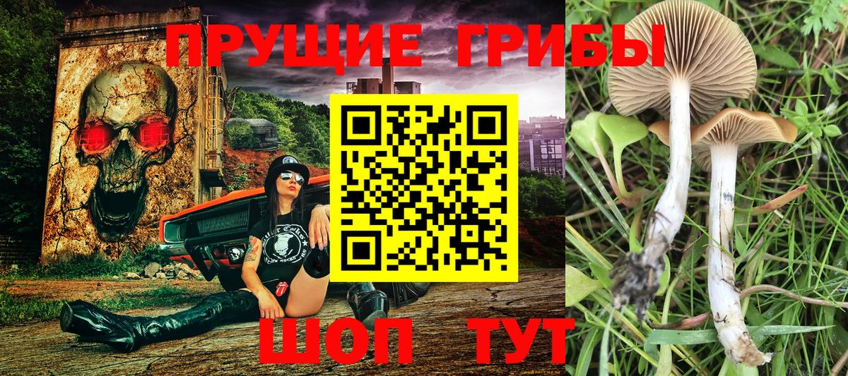 Псилоцибиновые грибы Magic Shrooms  Галлюциногенные грибы прущие грибы  Ханты-Мансийск  Вход с VPN 